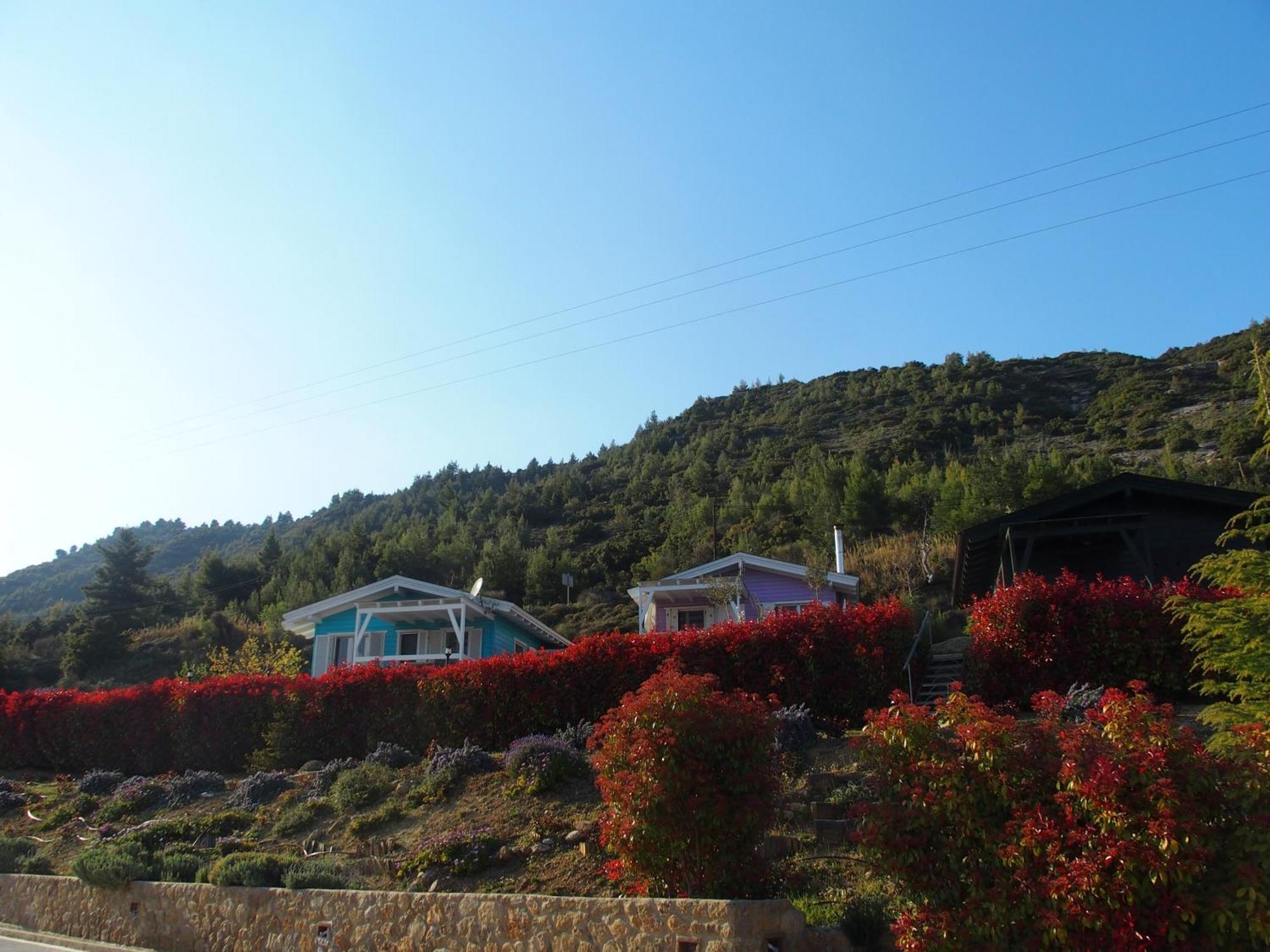 فندق Ktima Noosfera Wellness & Retreat Center Karya المظهر الخارجي الصورة